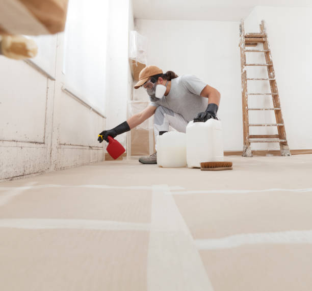 Best Air Quality Testing for Mold Spores  in East Vineland, NJ